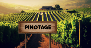 The Rich and Robust Pinotage Characteristics: A Sommelier's Perspective